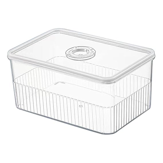 food storage container